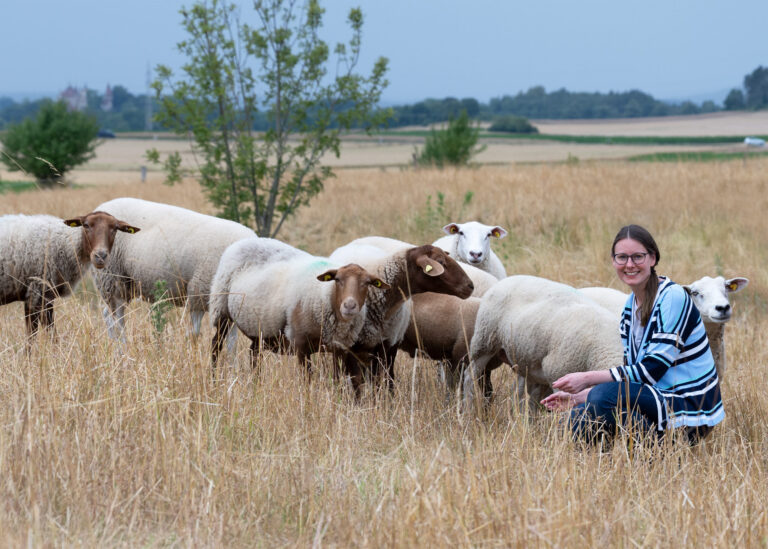 Das kleine Wollschwein
