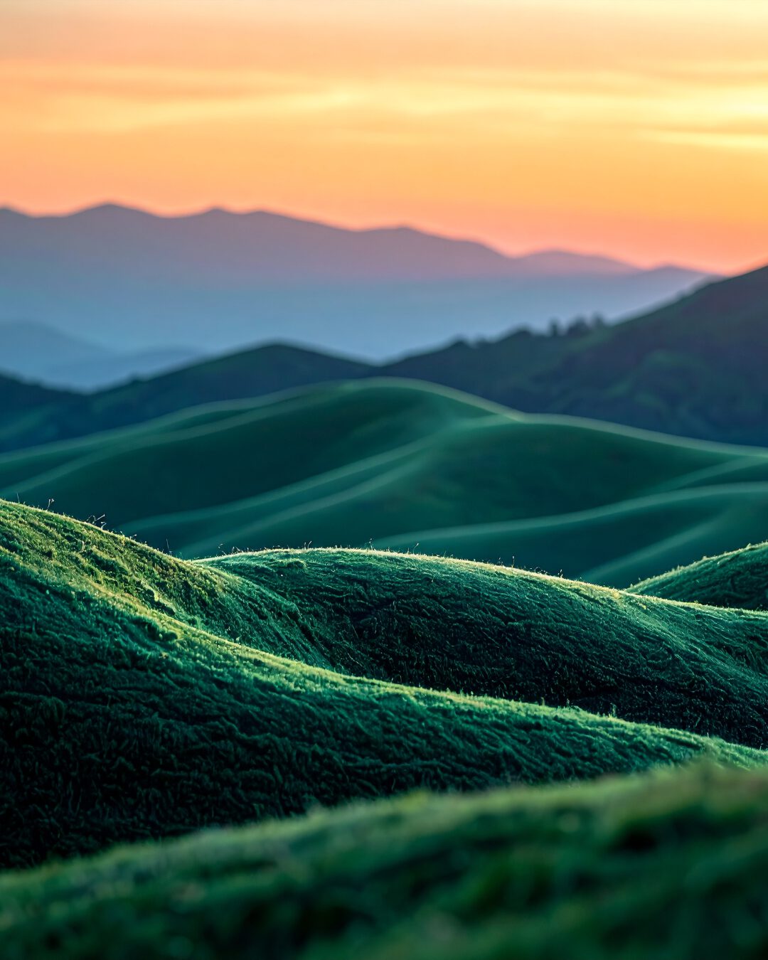 Regionale Strukturen